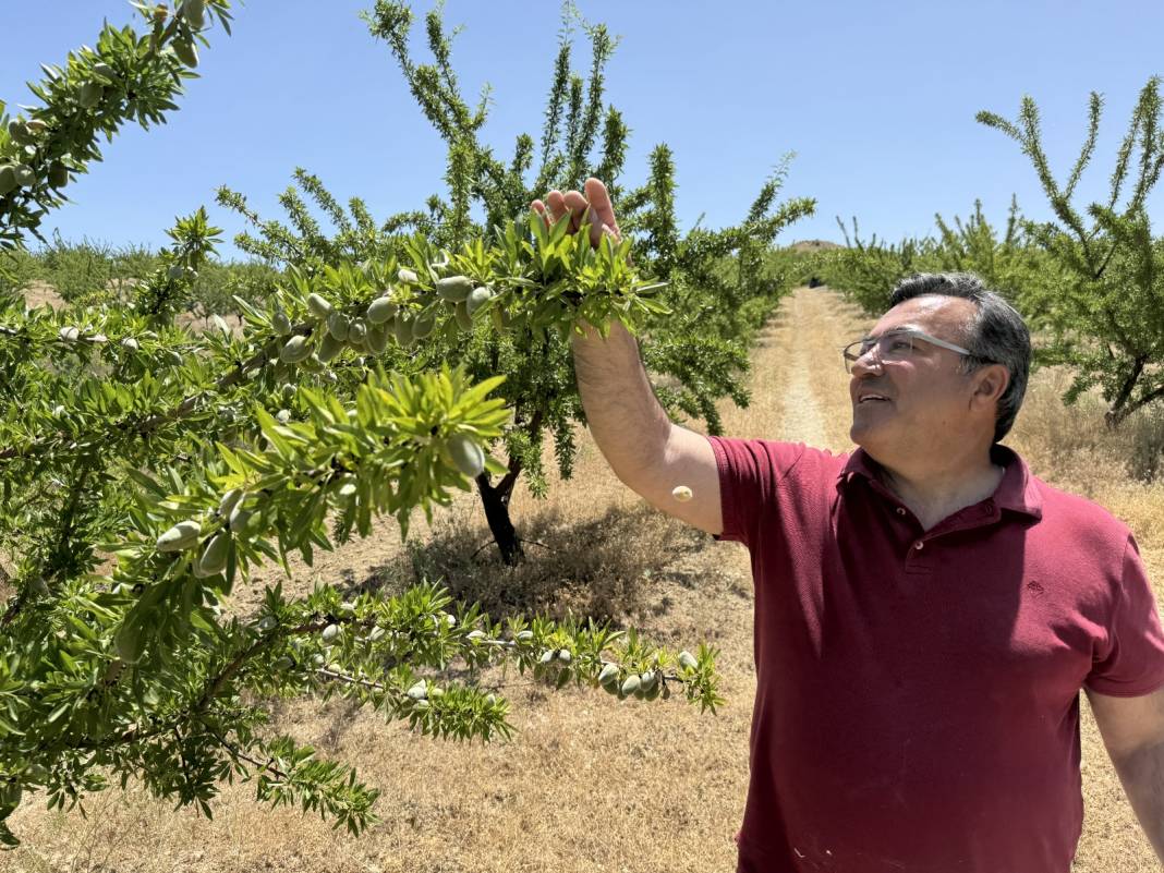 7 Yılın Sonunda Oldu: Hazineden Kiraladığı Arazi Hayatını Değiştirdi "Görmeden İnanmıyorlardı" 1